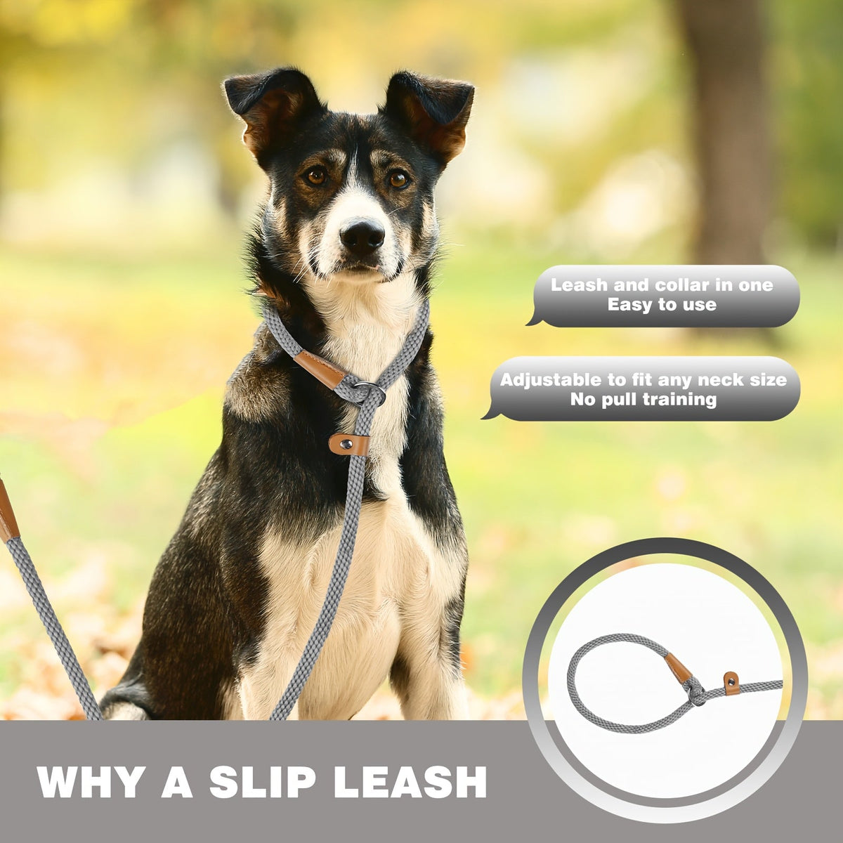 Laisse pour chien en nylon durable pour petits, moyens et grands chiens - Laisse de dressage robuste tissée S-XL, 8 couleurs, laisse de promenade avec poignée confortable et résistante