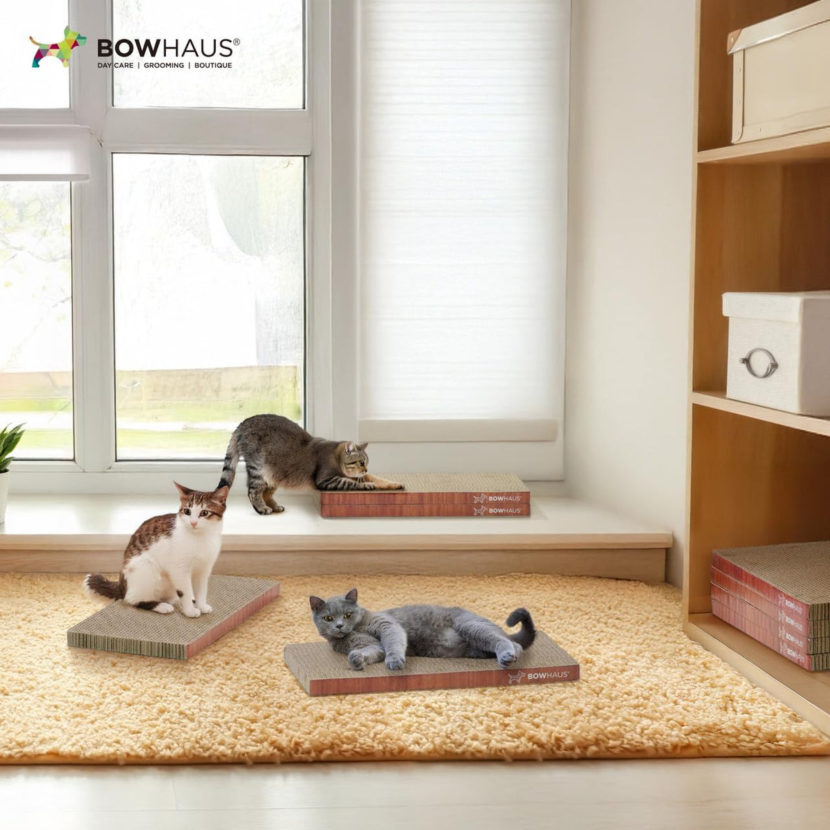 CAPHAUS Griffoir et transat réversible pour chat – Grand tapis à griffer en carton haute densité à 5 couches, 43 x 21,6 cm, protège les meubles, convient aux foyers avec plusieurs chats et aux races de grande taille