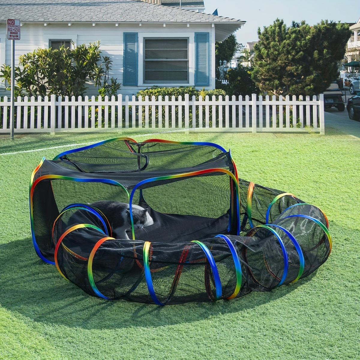 Parc pour chat Rainbow, enclos extérieur pour chat avec tunnel circulaire et tente pop-up portable, aire de jeu pliable pour chats, chatons et petits animaux, usage intérieur et extérieur