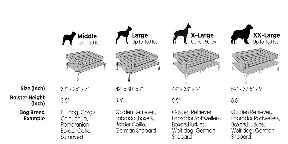 Lit surélevé rafraîchissant pour chien avec matelas amovible – Canapé pour chien surélevé avec rebords, filet respirant et pieds antidérapants pour une utilisation en intérieur et en extérieur
