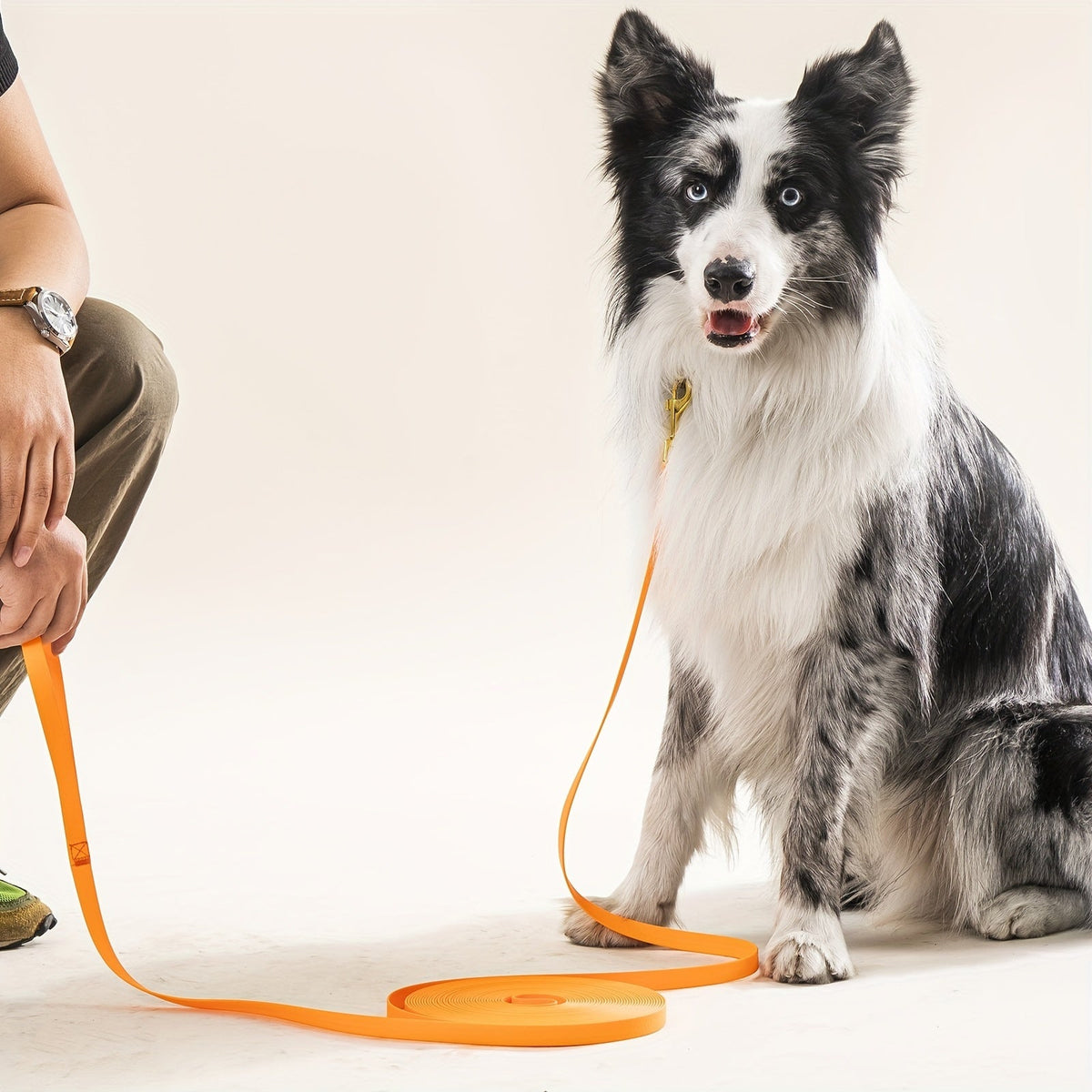 Laisse de dressage pour chien imperméable 3/6/9/15m – Longue longe en nylon enduit DuraSoft pour chiens de grande, moyenne et petite taille – Laisse de rappel anti-nœuds pour la randonnée, le camping, la plage, le jardin et la baignade