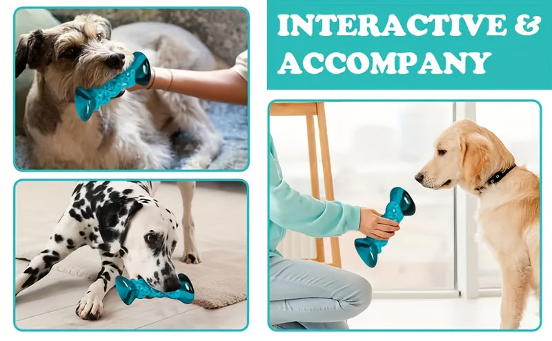 Jouet à mâcher durable en nylon pour chien, anti-anxiété, anti-ennui, jouet indestructible pour petits, moyens et grands chiens, mâcheurs agressifs, tailles standard et grande, occupe les chiens, soulage le stress