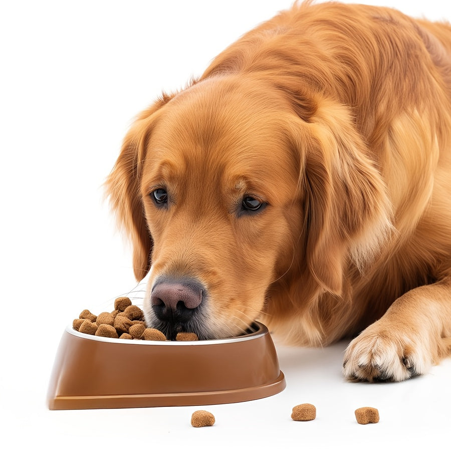 Probiotiques pour chiens, 60 gélules, formule naturelle à base de plantes, favorise la santé intestinale, la digestion et soulage les allergies saisonnières - 120 g, lot de 1 ou 2