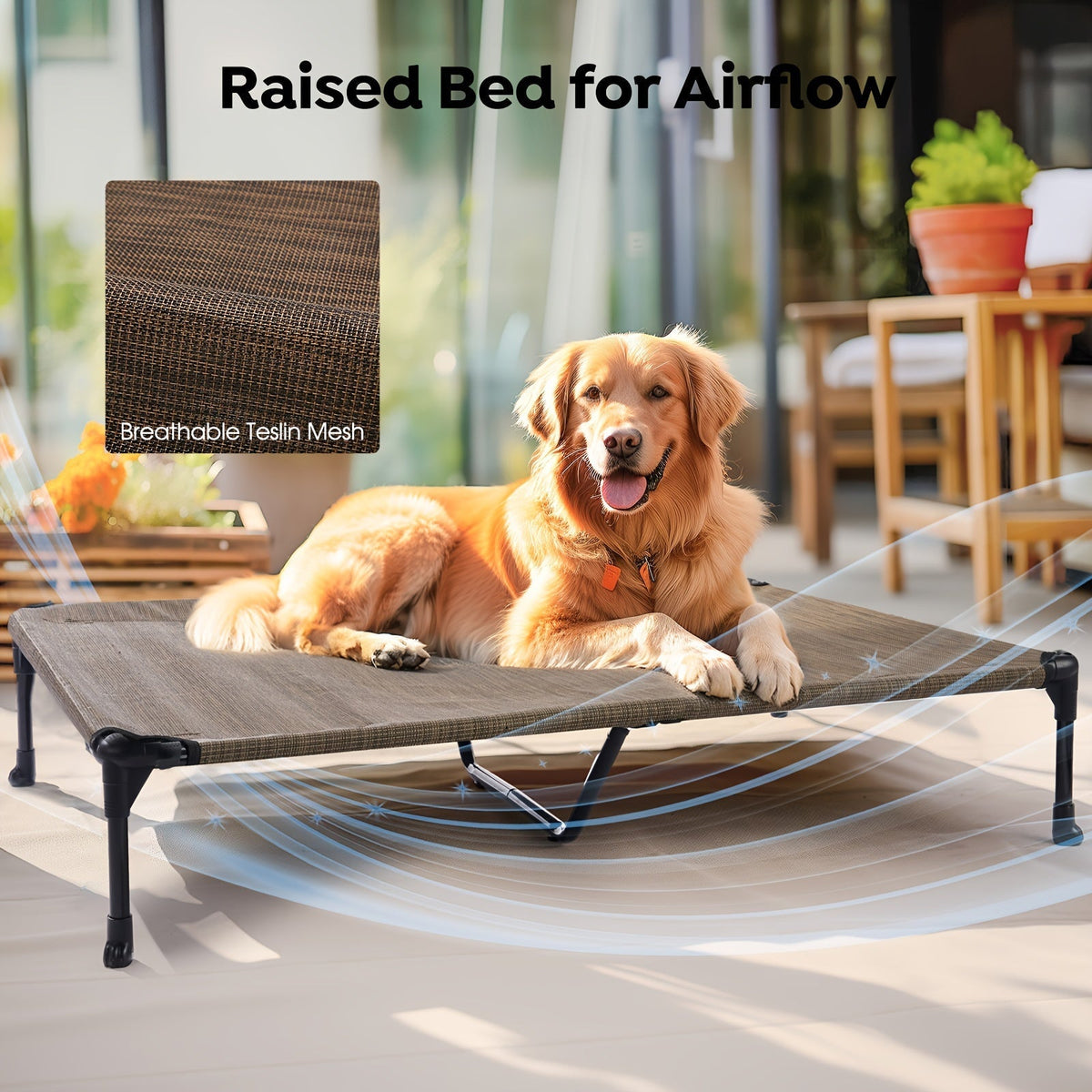 Lit surélevé rafraîchissant pour chien avec matelas amovible – Canapé pour chien surélevé avec rebords, filet respirant et pieds antidérapants pour une utilisation en intérieur et en extérieur