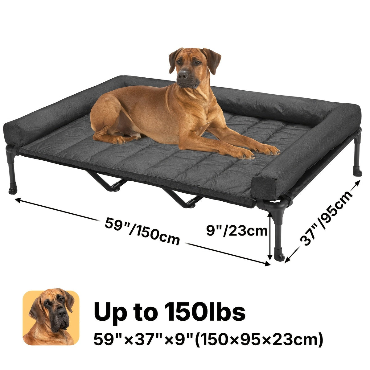 Lit surélevé rafraîchissant pour chien avec matelas amovible – Canapé pour chien surélevé avec rebords, filet respirant et pieds antidérapants pour une utilisation en intérieur et en extérieur