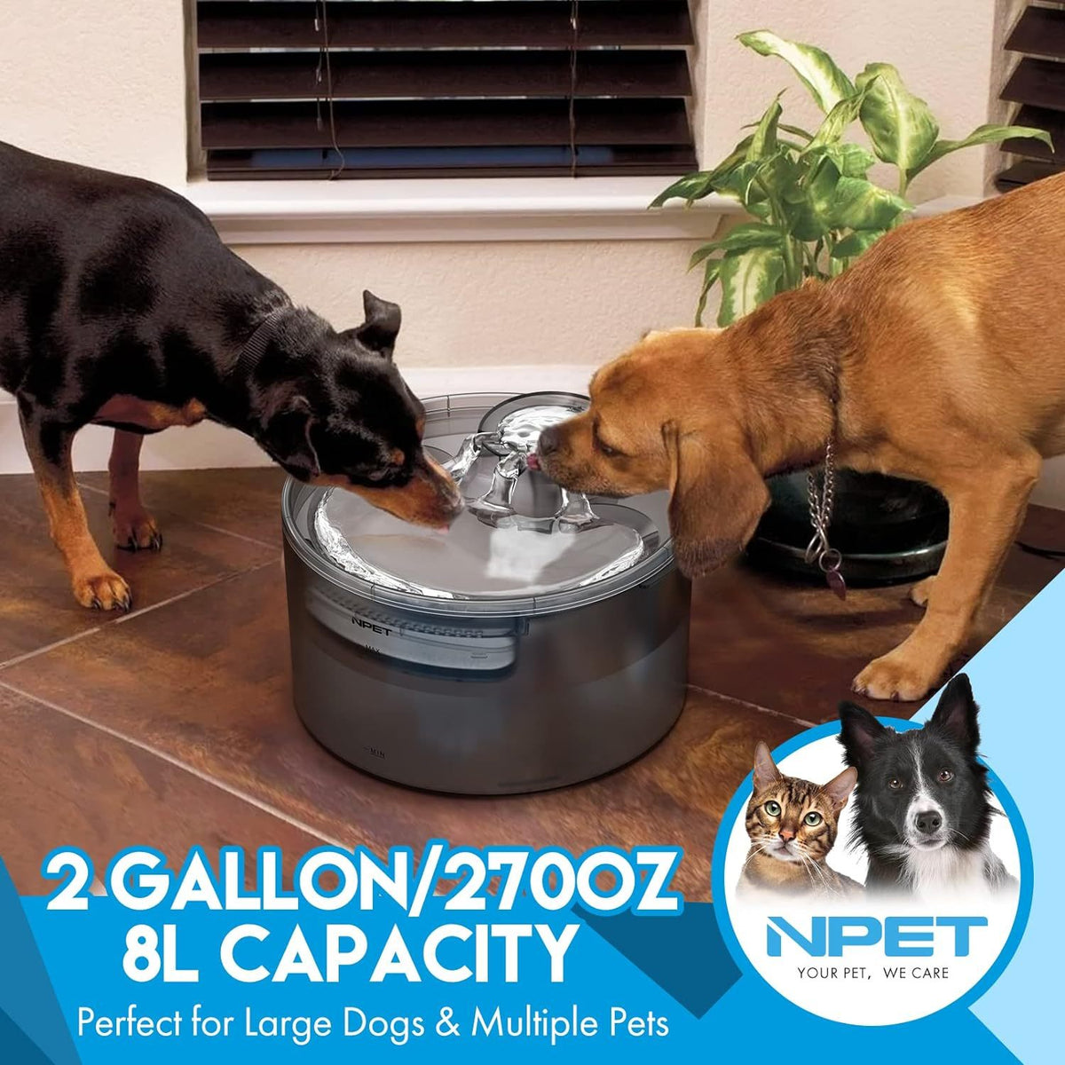 Fontaine à eau pour grands chiens 5L & 8L avec triple système de filtration, abreuvoir automatique pour animaux avec protection anti-éclaboussures et kit de nettoyage pour grands chiens et foyers multi-animaux – Pompe silencieuse, sans pile nécessaire