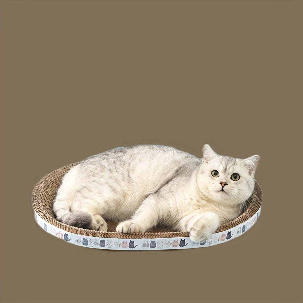 Salon griffoir ovale pour chat, carton ondulé durable, tapis à griffer, lit douillet pour chat pour faire ses griffes, se détendre et jouer, mobilier pour chats et chatons d'intérieur