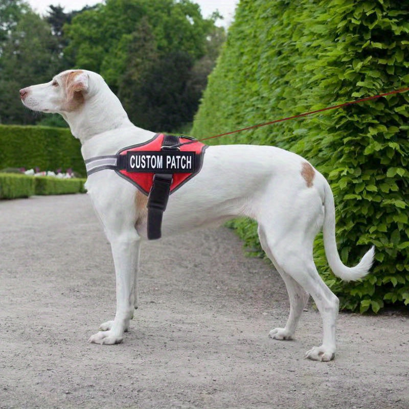 Harnais pour chien anti-traction personnalisé avec nom et numéro de téléphone – Gilet robuste anti-évasion pour le dressage et la promenade, tailles XS à XXL, 12 couleurs disponibles