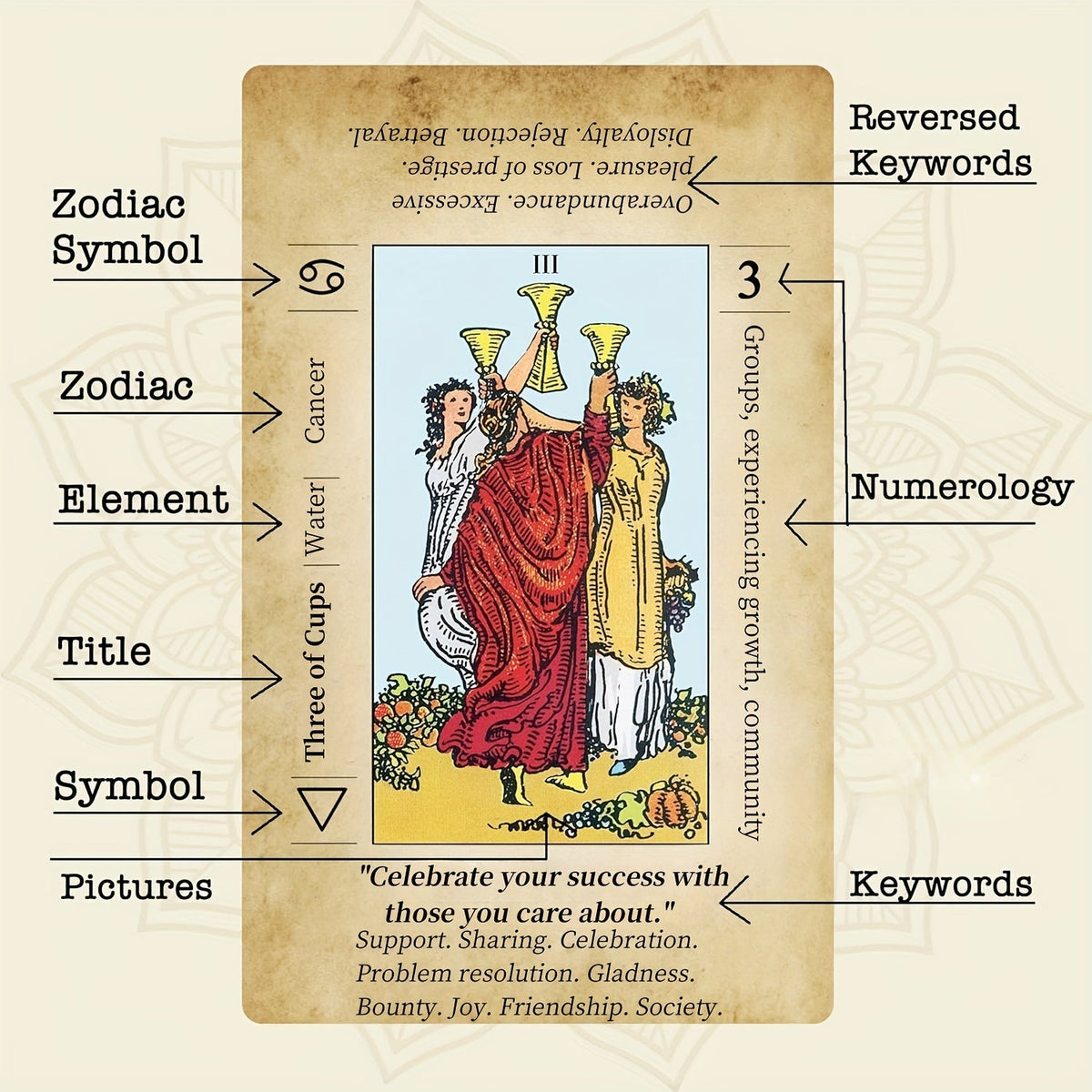 Cartes de tarot pour débutants, jeu de 78 cartes vintage avec livret explicatif en PDF pour l'exploration spirituelle, jeu de cartes pour adultes, cadeau pour amis, famille, Halloween, Noël, Thanksgiving, fête