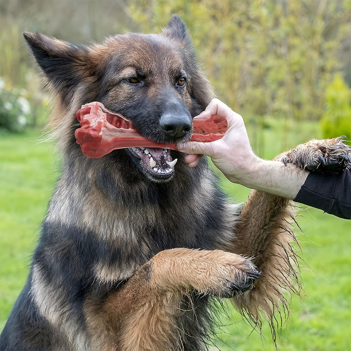 Jouet à mâcher indestructible pour chiens destructeurs, os en caoutchouc naturel durable pour le nettoyage des dents et le jeu interactif, os non toxique pour chiens de petites, moyennes et grandes races – Taille L 15 cm