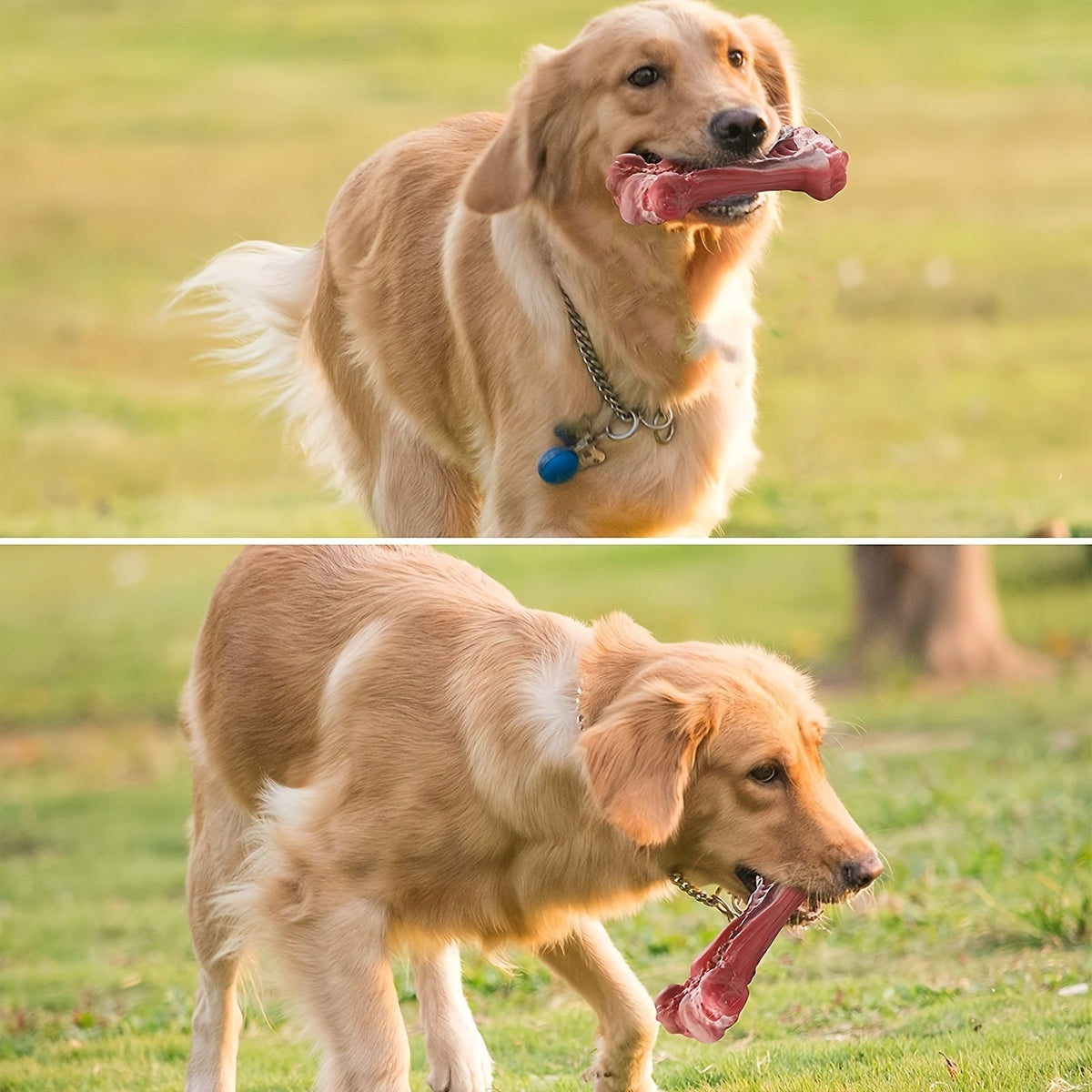 Jouet à mâcher indestructible pour chiens destructeurs, os en caoutchouc naturel durable pour le nettoyage des dents et le jeu interactif, os non toxique pour chiens de petites, moyennes et grandes races – Taille L 15 cm