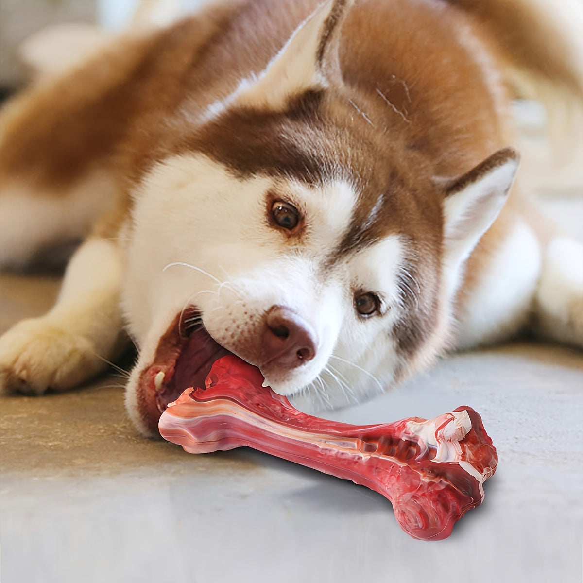 Jouet à mâcher indestructible pour chiens destructeurs, os en caoutchouc naturel durable pour le nettoyage des dents et le jeu interactif, os non toxique pour chiens de petites, moyennes et grandes races – Taille L 15 cm