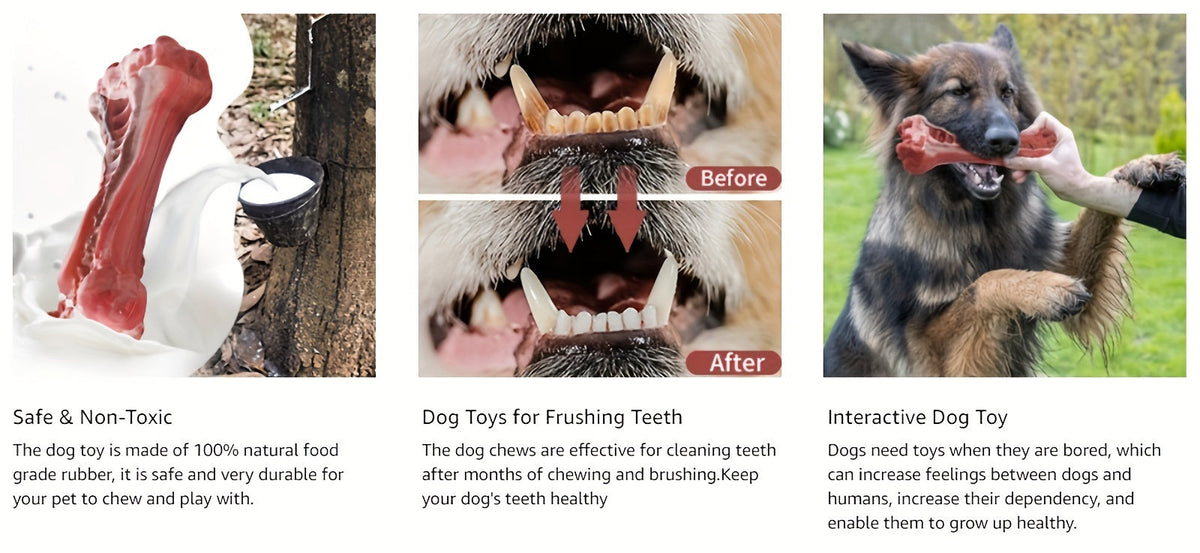 Jouet à mâcher indestructible pour chiens destructeurs, os en caoutchouc naturel durable pour le nettoyage des dents et le jeu interactif, os non toxique pour chiens de petites, moyennes et grandes races – Taille L 15 cm