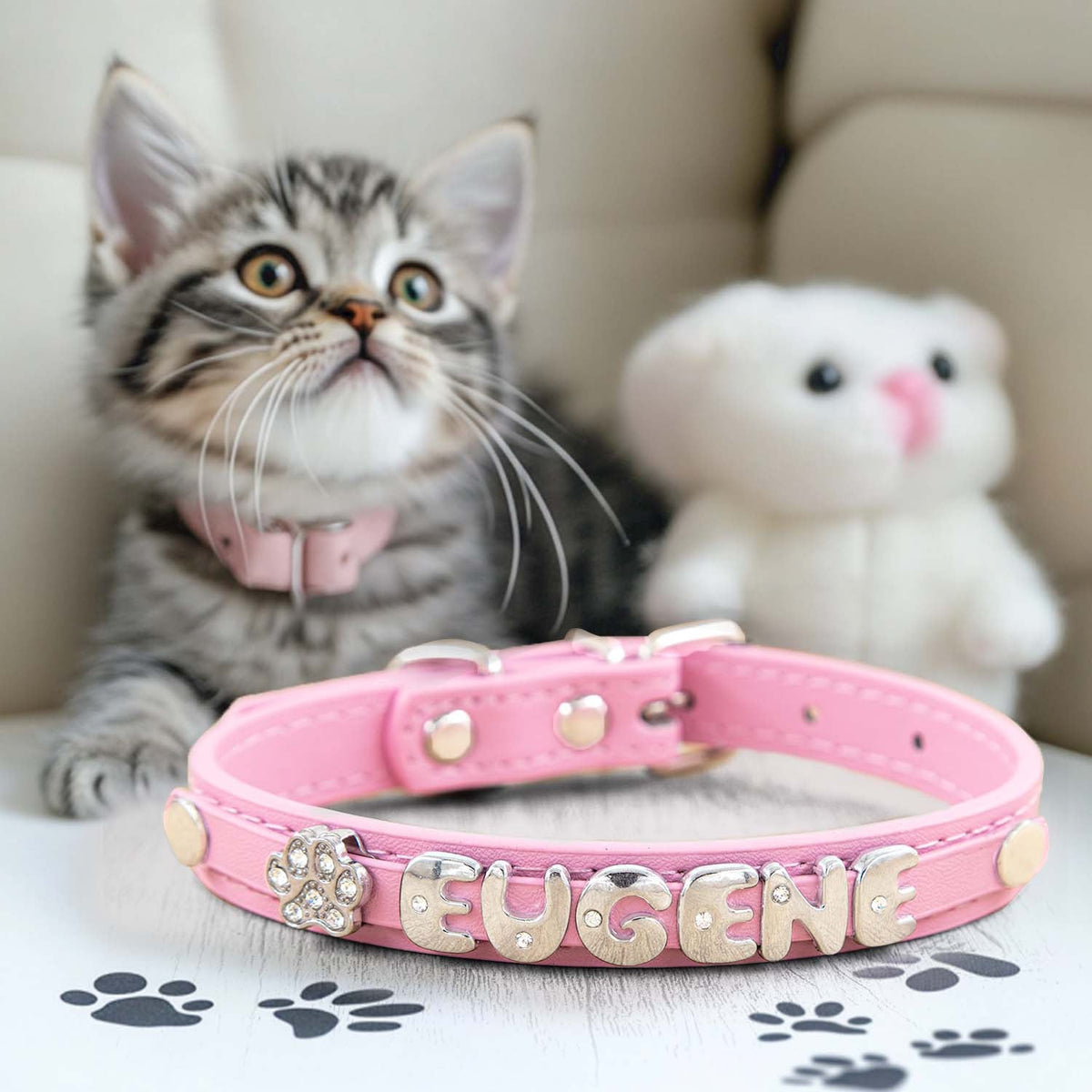 Collier pour chat et chien en similicuir personnalisé avec médaille, collier d'identification sur mesure pour petits et moyens chiens et chats, collier réglable pour animal de compagnie avec breloque exquise, 11 couleurs du XS au M