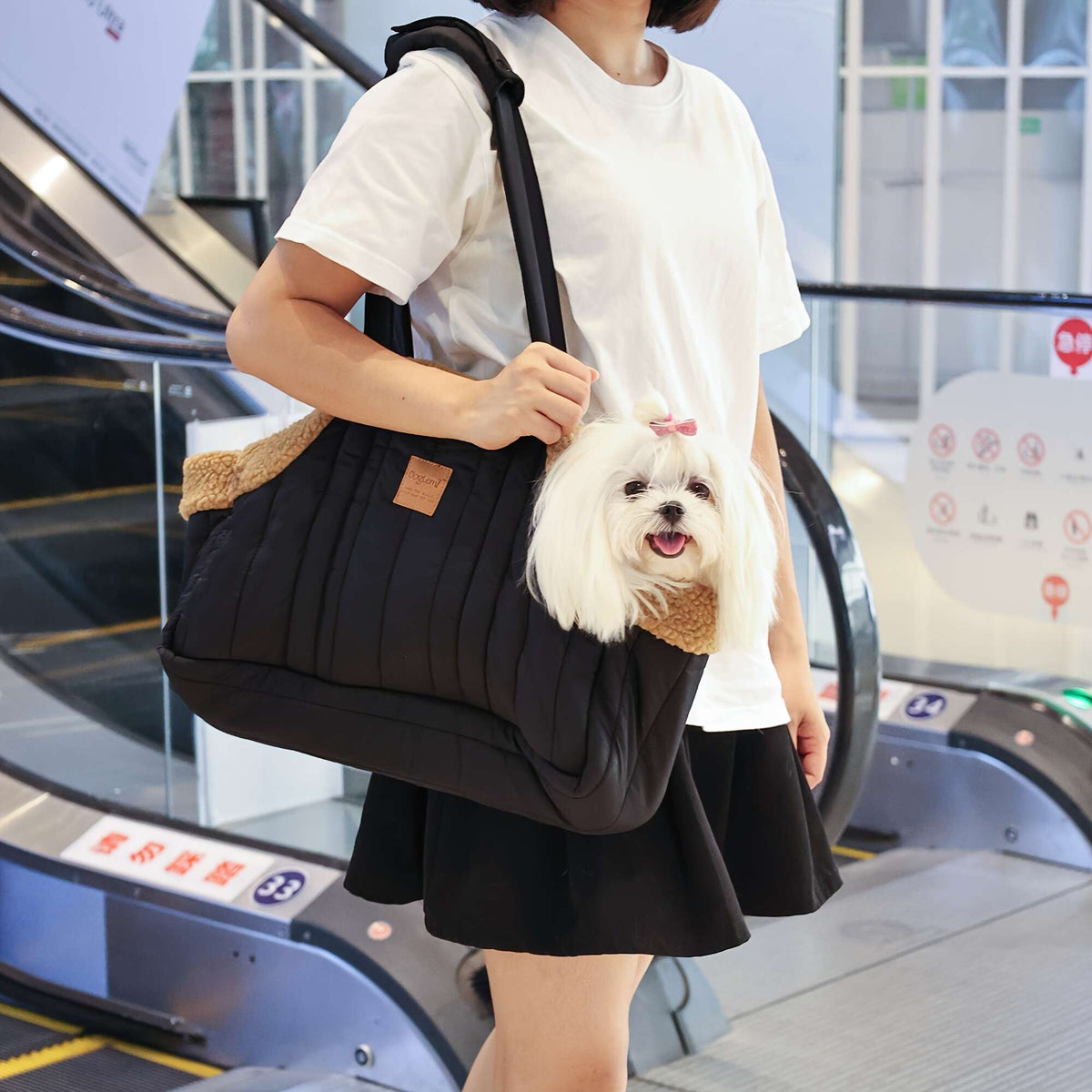 Sac de transport d'hiver pour animaux avec fermeture à pression – Sac fourre-tout chaud et confortable pour petits chiens et chats, idéal pour les activités en extérieur, disponible en marron, noir, beige, rose, vert et bleu