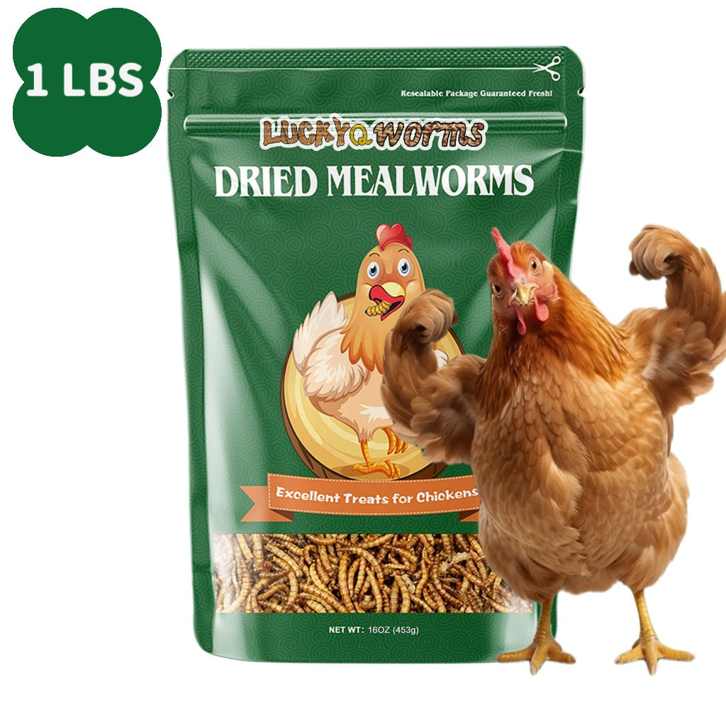 Vers de farine séchés pour poules, oiseaux sauvages et canards – Aliment naturel riche en protéines pour poules, tortues, poissons, lézards et hamsters, nourriture animale séchée sans OGM, plusieurs formats de 0,6 à 40 livres