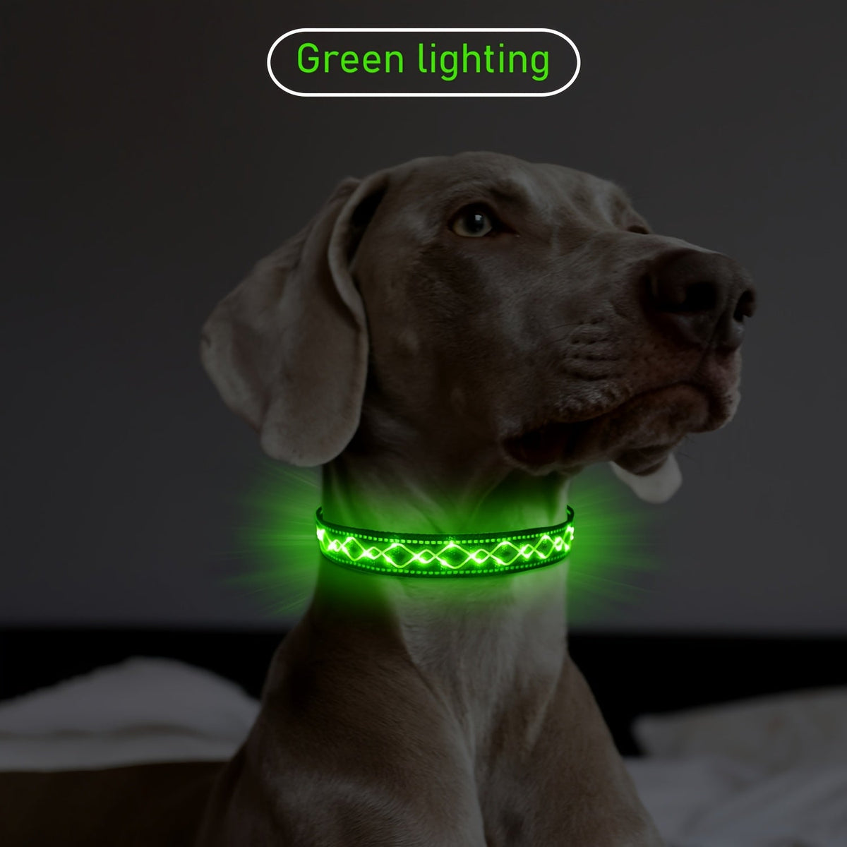 Collier pour chien à broderie LED rechargeable par USB pour la sécurité nocturne – Collier lumineux décoratif avec ajustement réglable pour chiens de petite, moyenne et grande taille, 4 couleurs, tailles S, M, L