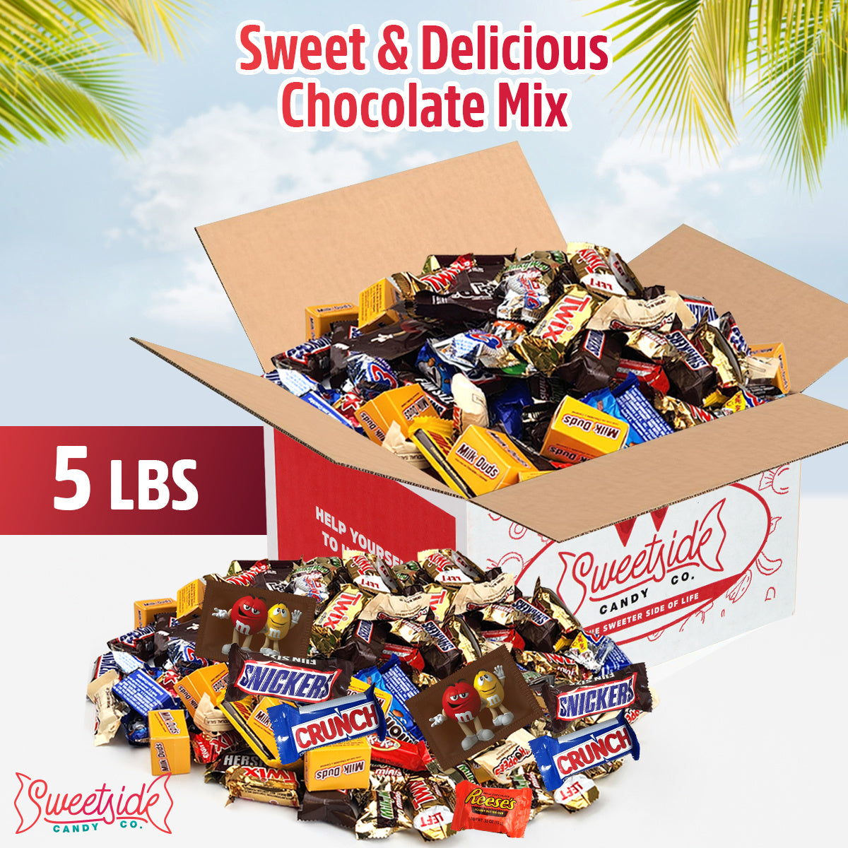 Assortiment de chocolats en vrac – Sachet varié de chocolats emballés individuellement, idéal pour les bols à bonbons de fête, les cadeaux de fin d'année, le partage au bureau et le grignotage