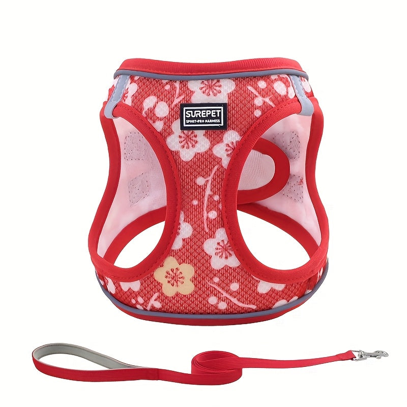 Ensemble harnais anti-traction et laisse pour chiens de petite à moyenne taille - Harnais gilet réglable en maille douce et réfléchissante pour chiots, pour la marche, la course et le dressage, harnais pour animaux anti-fugue