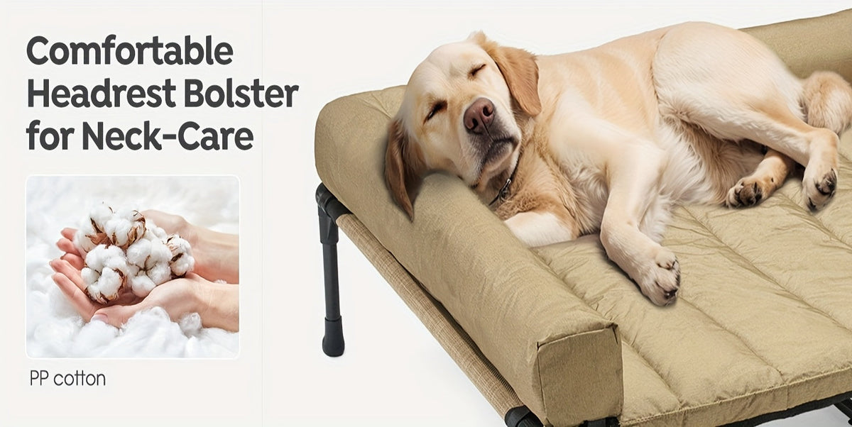 Lit surélevé rafraîchissant pour chien avec matelas amovible – Canapé pour chien surélevé avec rebords, filet respirant et pieds antidérapants pour une utilisation en intérieur et en extérieur