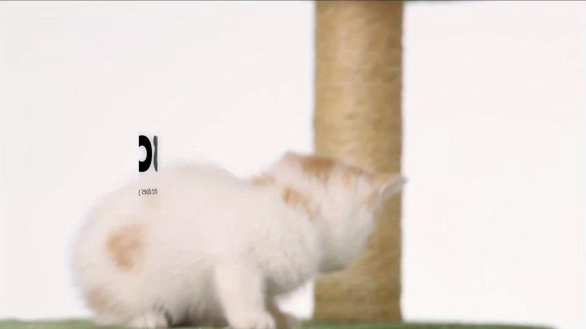 Arbre à chat de 140 cm pour chats d'intérieur avec feuilles vertes – Grande tour à chat multi-niveaux avec hamac, poteaux à griffer en sisal, jouet à suspendre, mobilier pour chat pour salon et chambre