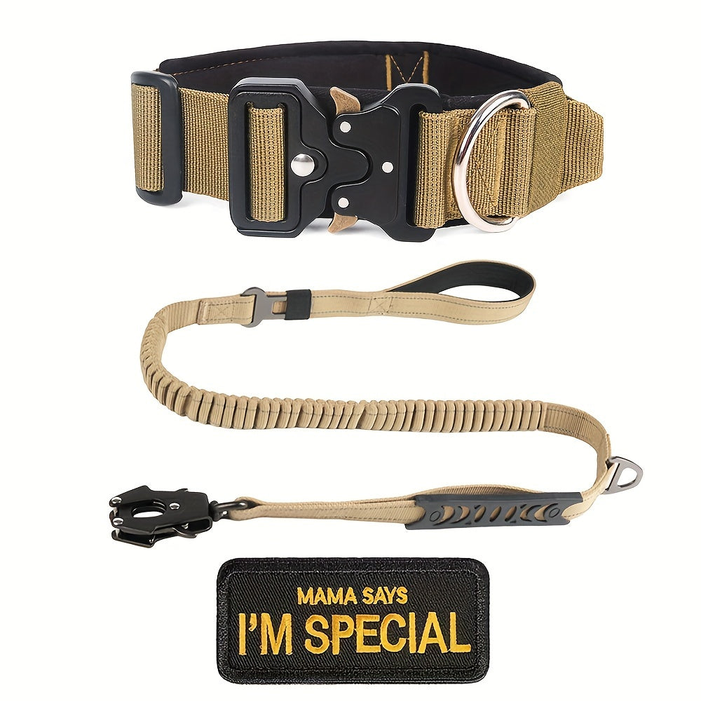 Ensemble collier tactique pour chien et laisse élastique robuste pour chiens de taille moyenne à grande - Collier en nylon avec boucle métallique haute résistance, laisse élastique extensible, équipement de dressage et de promenade en extérieur