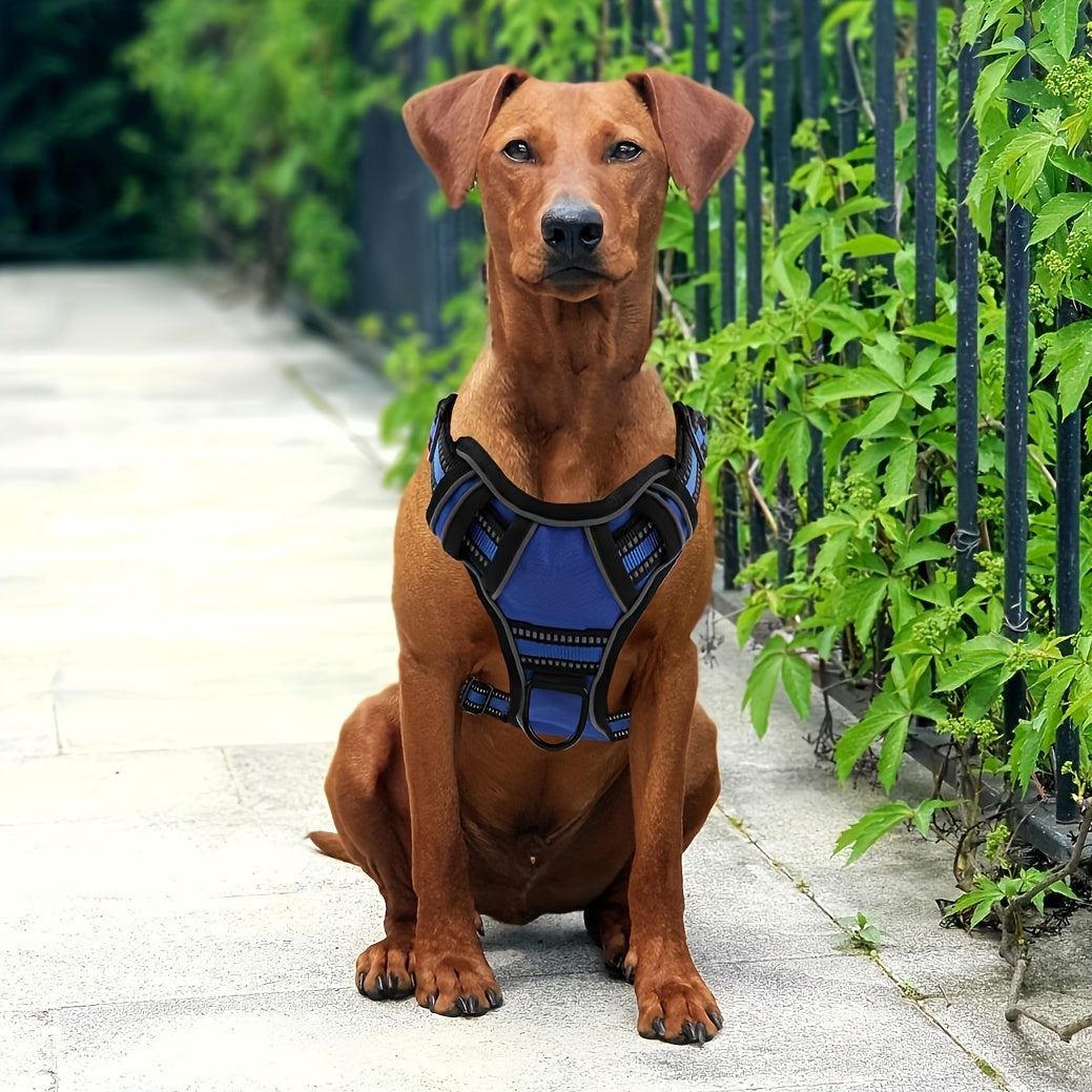 Ensemble harnais anti-traction et laisse 6-en-1 pour chien – Gilet réfléchissant en tissu Oxford sans étranglement avec double attache de laisse et poignée de contrôle facile pour chiens petits, moyens et grands, 5 couleurs, du XS au XL