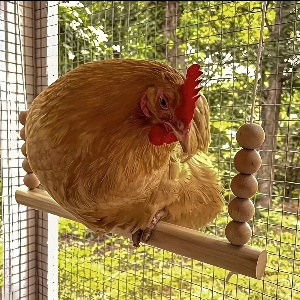 Jouet balançoire en bois pour poules, perchoir pour oiseaux naturel fait main, sans nœuds, avec perles sur corde élastique pour poules, canards, perroquets, accessoires de poulailler, grand et durable