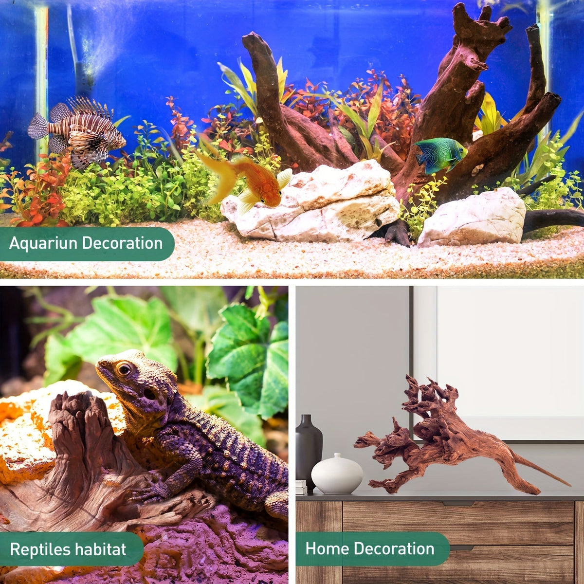 Bois flotté naturel à couler pour décoration d'aquarium – Lot de 3 grandes pièces en bois véritable pour aquarium d'eau douce, reptile et terrarium, bois flotté de teck violet sans danger pour les poissons