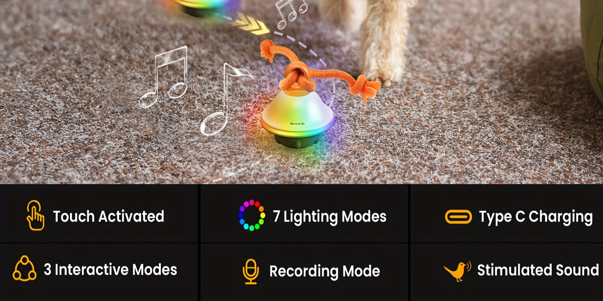 Jouet balle roulante automatique pour chien avec corde, activé par le mouvement, enregistrement vocal, rechargeable par USB, jouet interactif stimulant pour petits et moyens chiens, anti-ennui, gris et blanc