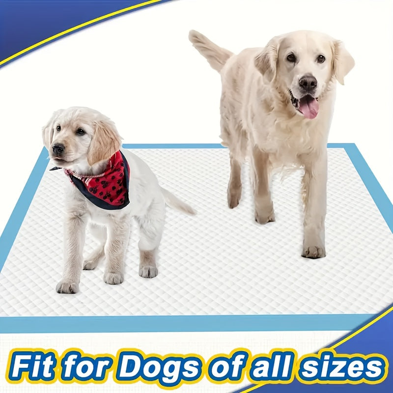 Alèses pour chiens XXXL, pack bonus 80+20 – 100 alèses jetables d'apprentissage, 6 couches, anti-odeurs et anti-fuites, pour chiens de petite et grande taille et chiens âgés, deux dimensions au choix : 58x58 cm ou 74x89 cm.