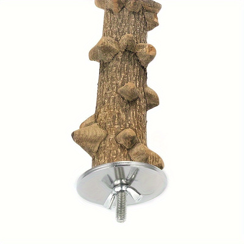 Perchoir pour oiseaux en bois naturel, lot de 5, bois de vigne et frêne épineux pour mâcher et limer les griffes, pour calopsittes, perruches, conures soleil – Ensemble de supports pour cage à oiseaux