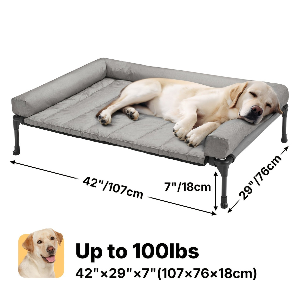 Lit surélevé rafraîchissant pour chien avec matelas amovible – Canapé pour chien surélevé avec rebords, filet respirant et pieds antidérapants pour une utilisation en intérieur et en extérieur