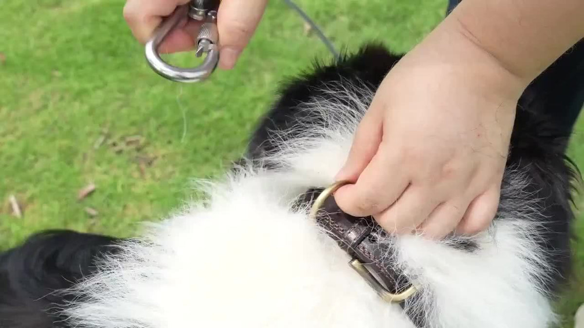 Câble d'attache robuste pour chien, 113 kg, design réfléchissant et mousqueton pivotant en acier inoxydable – Laisse anti-nœuds pour grands chiens – Cour, extérieur et camping – Options 76 cm / 15 m / 4,5 m – Velora