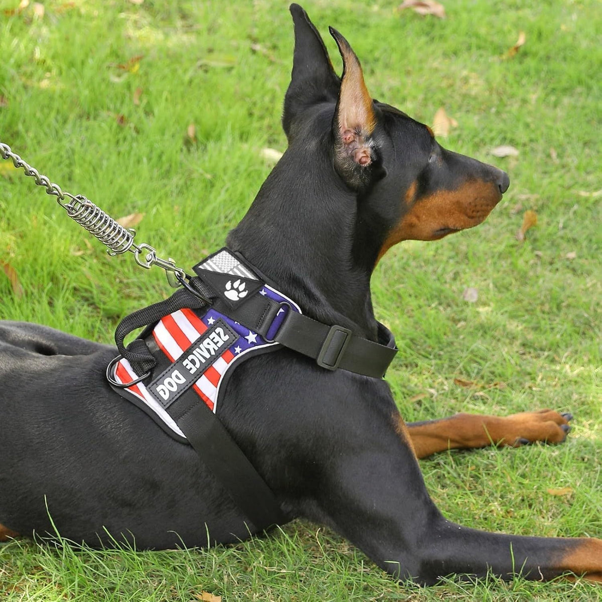 Harnais anti-traction pour chien avec gilet réfléchissant et 5 écussons – Harnais de service réglable en maille Oxford souple, avec attaches avant et arrière pour chiens de petite, moyenne et grande taille, de XS à XL