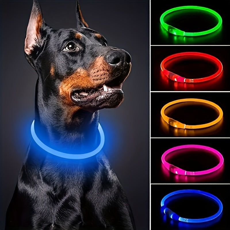 Collier pour chien à LED rechargeable par USB, collier lumineux pour la sécurité nocturne, adapté aux chiens de petite, moyenne et grande taille – Collier pour animal de compagnie étanche en PVC, phosphorescent avec chargement USB