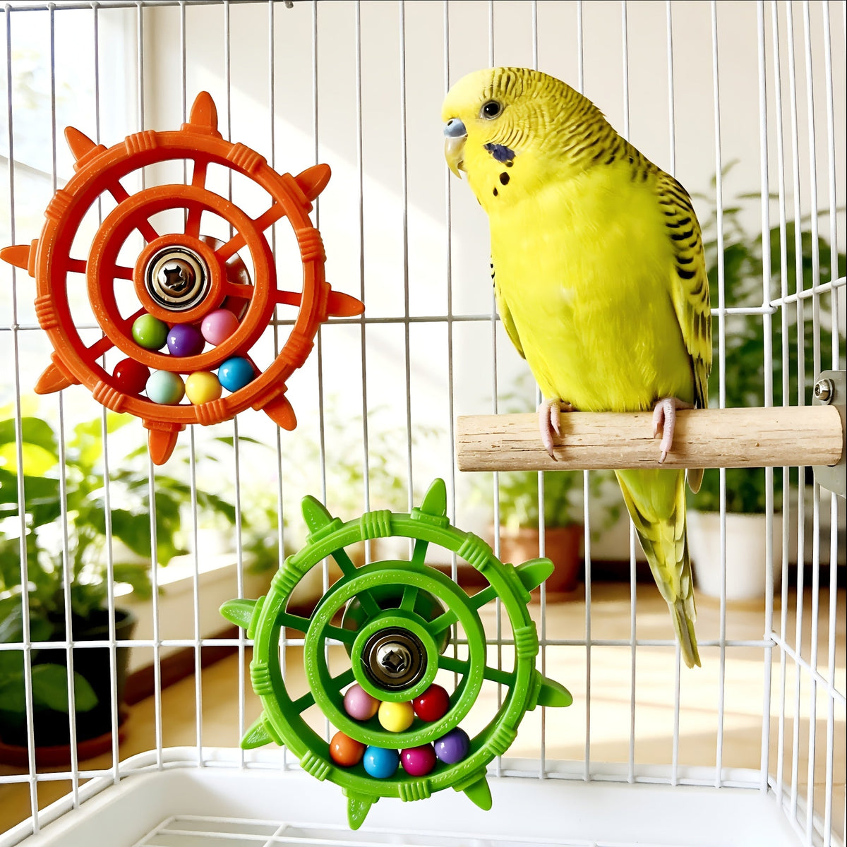 Jouet pour oiseaux à roue tournante colorée avec disque rotatif et perles, accessoire de cage interactif et anti-stress pour perruches, calopsittes et canaris, couleurs multiples