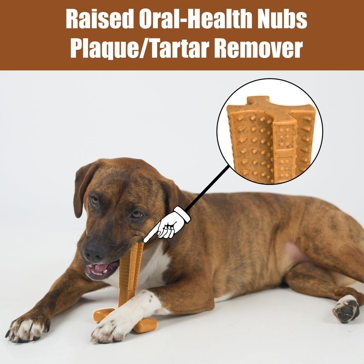 Jouet à mâcher dentaire pour chien en forme de T – Jouet à mâcher durable en plastique anti-éclats avec crêtes texturées et prise ergonomique pour mâcheurs agressifs, chiots en période de dentition et chiens adultes, jouet de nettoyage dentaire pour chien