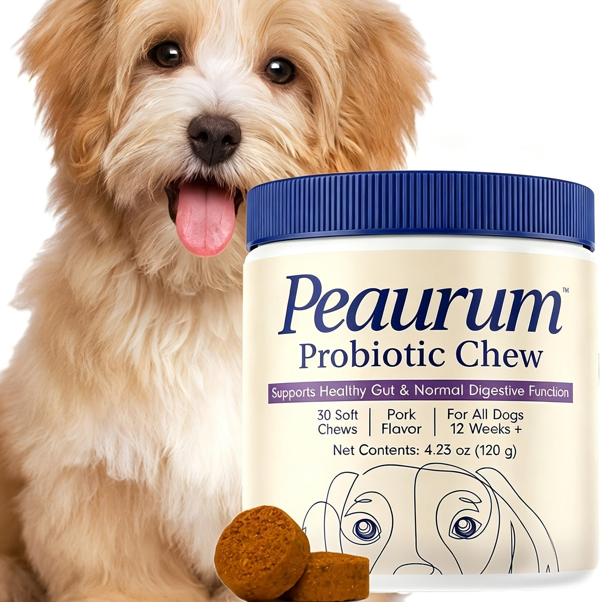 Probiotiques pour chiens, 60 gélules, formule naturelle à base de plantes, favorise la santé intestinale, la digestion et soulage les allergies saisonnières - 120 g, lot de 1 ou 2