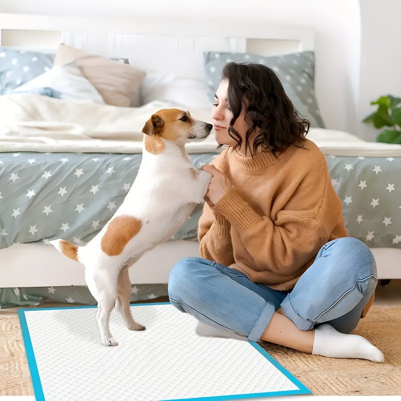 Alèses de dressage pour chiens extra larges jetables 60x60 cm, anti-fuites, anti-odeurs, absorbantes, pour chiots, accessoires pour la propreté, paquet de 50, 100 ou 200