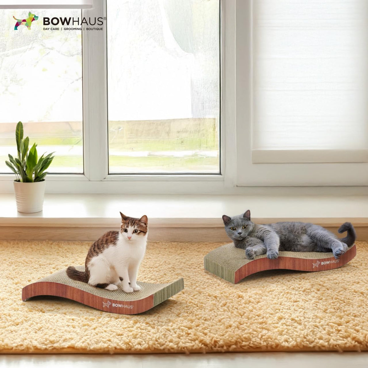 CAPHAUS Griffoir et transat réversible pour chat – Grand tapis à griffer en carton haute densité à 5 couches, 43 x 21,6 cm, protège les meubles, convient aux foyers avec plusieurs chats et aux races de grande taille
