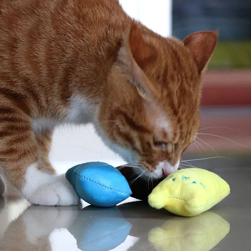 Jouet coussin en peluche couineur pour chat - Jouet kicker rembourré au design interactif avec couineur pour chats et chatons, pour jeu en solo et anti-ennui, sans pile, 6 couleurs : vert, jaune, rose, bleu, café
