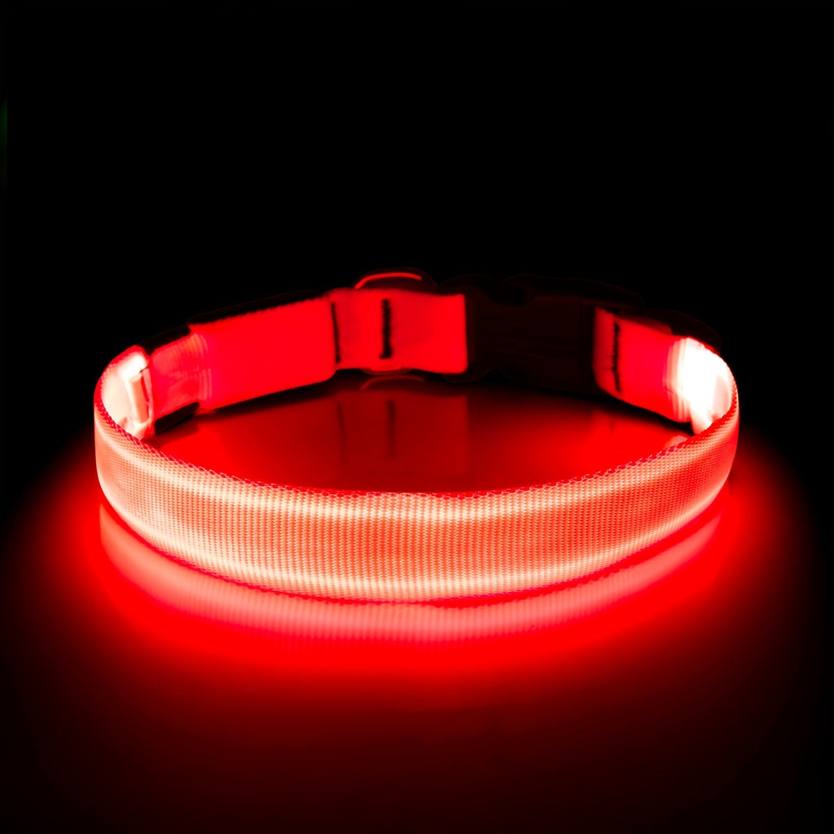 Collier lumineux pour chien à LED, rechargeable par USB - Collier de sécurité ajustable en nylon avec boucle en D pour petits, moyens et grands chiens, haute visibilité pour les promenades nocturnes