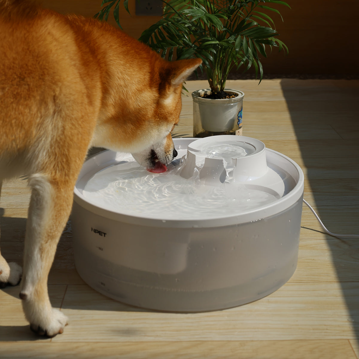 Fontaine à eau pour grands chiens 5L & 8L avec triple système de filtration, abreuvoir automatique pour animaux avec protection anti-éclaboussures et kit de nettoyage pour grands chiens et foyers multi-animaux – Pompe silencieuse, sans pile nécessaire