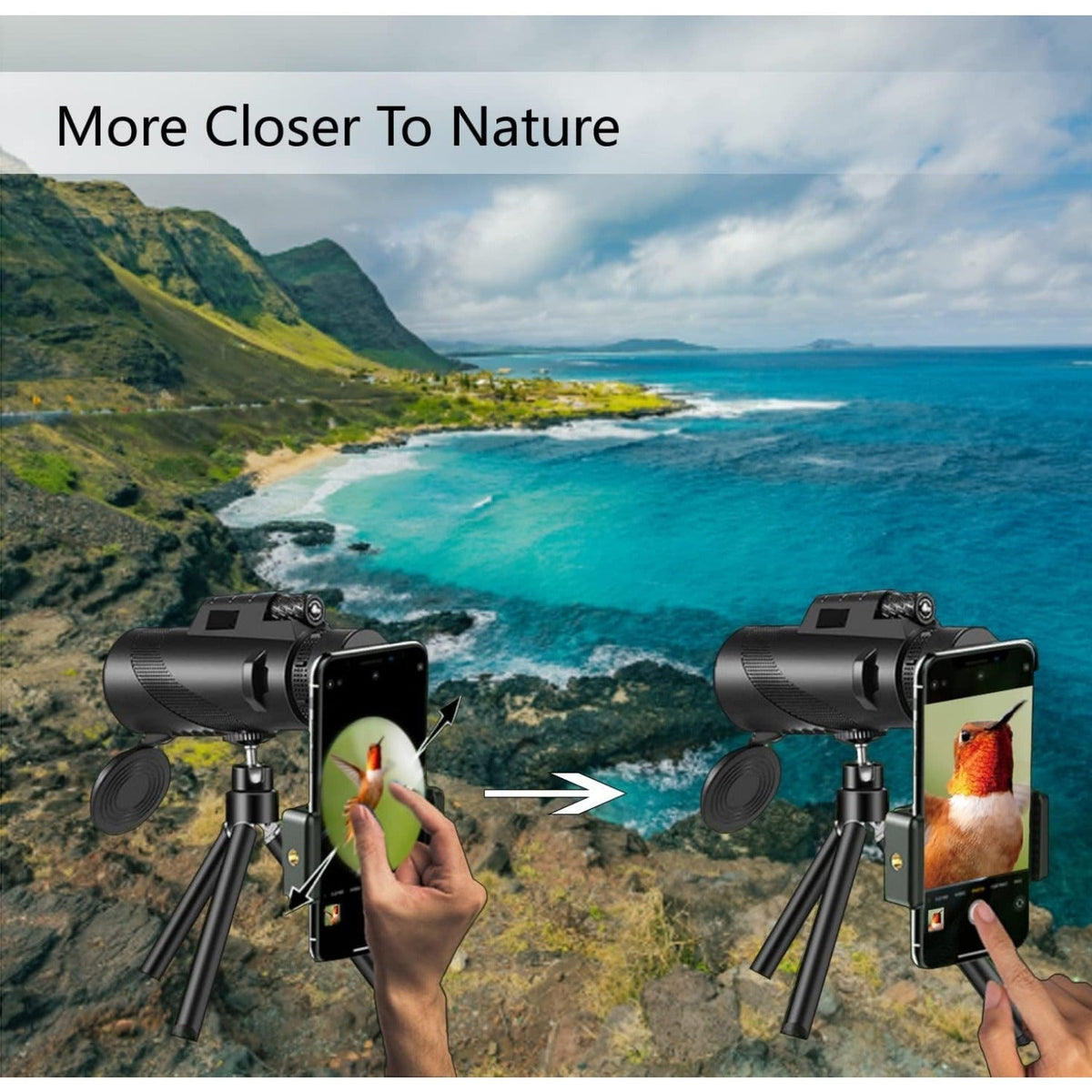 Monoculaire HD 10x42 avec adaptateur pour téléphone et trépied – Longue-vue compacte à lentilles FMC pour l'observation des oiseaux, la faune, la randonnée, le camping, les concerts et le sport – Noir et vert, cadeau de Noël