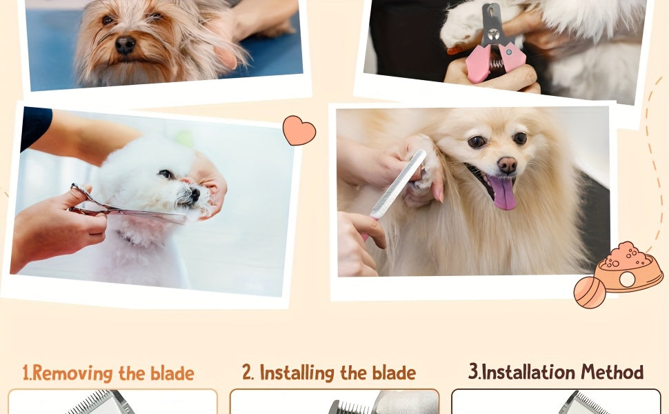 Tondeuse pour animaux sans fil rechargeable avec affichage LED - Tondeuse professionnelle sans fil pour poils de chien, têtes interchangeables, 4 guides de coupe, faible niveau sonore, charge USB 36V, pour chiens, chats et petits animaux