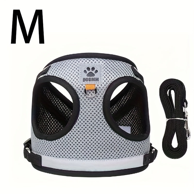 Harnais gilet avec laisse pour chat et chien, anti-fugue, en maille respirante, réglable et anti-traction pour promenades et dressage en extérieur