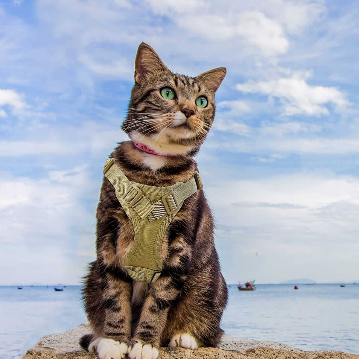 Harnais tactique réglable anti-fugue pour chat, gilet en tissu Oxford 600D, sangle de poitrine pour entraînement de chat et petit chien, taille unique universelle