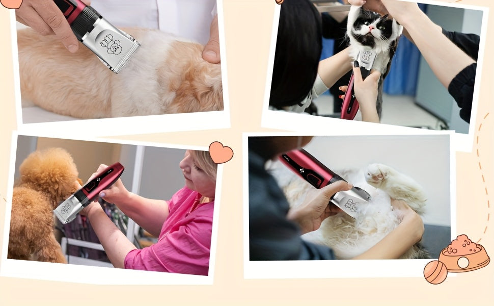 Tondeuse pour animaux sans fil rechargeable avec affichage LED - Tondeuse professionnelle sans fil pour poils de chien, têtes interchangeables, 4 guides de coupe, faible niveau sonore, charge USB 36V, pour chiens, chats et petits animaux