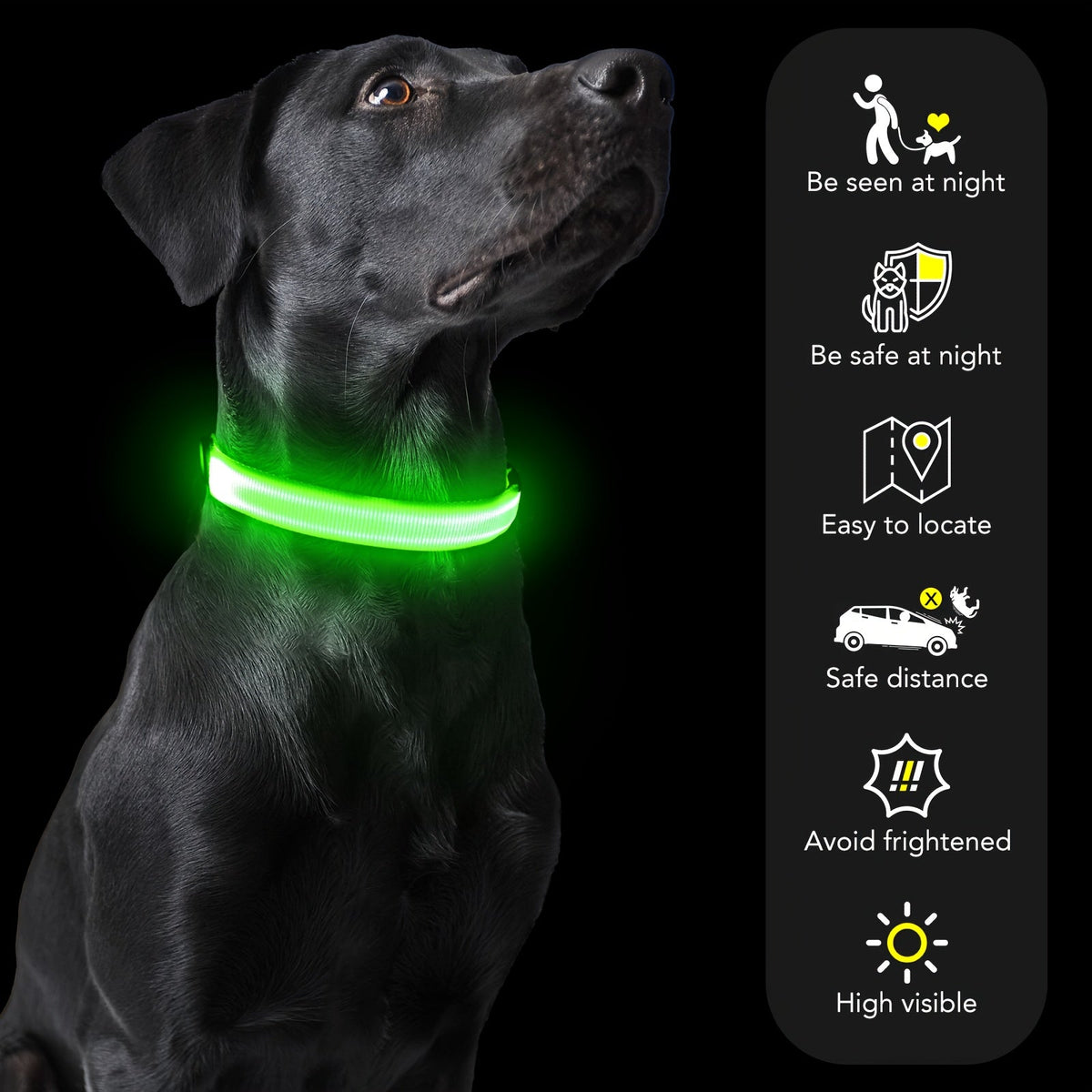 Collier lumineux pour chien à LED, rechargeable par USB - Collier de sécurité ajustable en nylon avec boucle en D pour petits, moyens et grands chiens, haute visibilité pour les promenades nocturnes